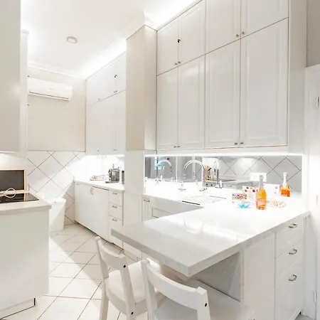 公寓 Liszt Ferenc Historic Luxurious Flat Next To Synagogue